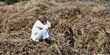Huge crop loss in Tamil Nadu due to Fall Army worms
