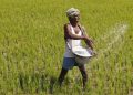 India endorsed ‘support per farmer rule’ at WTO farm subsidy negotiation