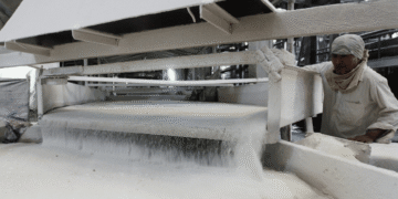 Rs 3,500 crore subsidy to help the sugar industry sustain exports at last years level