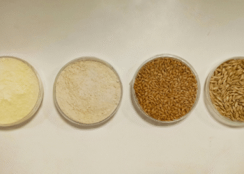 After a good harvest season, reduction of prices in the foodgrain prices seen by 10-15%