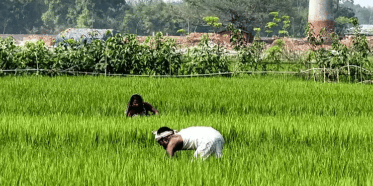 All Gujarat villages to get day time power supply by 2022 for agricultural purposes