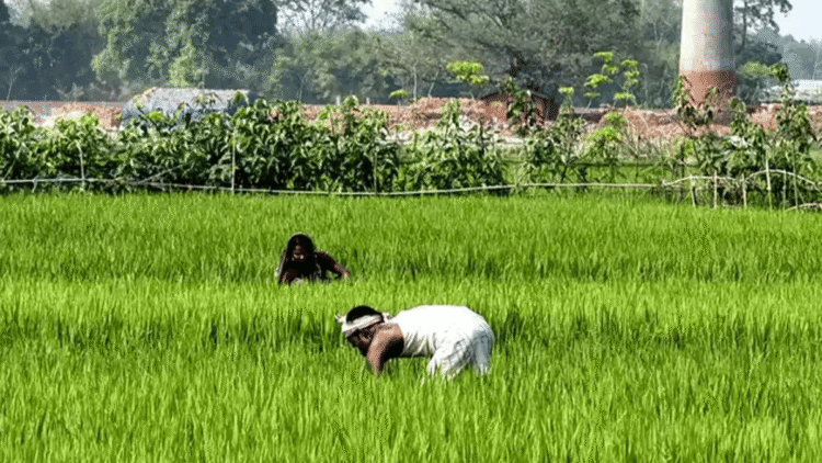 All Gujarat villages to get day time power supply by 2022 for agricultural purposes