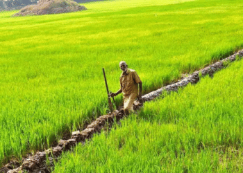 An alternative legislation in Kerala for farmers