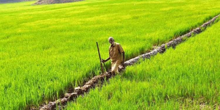 An alternative legislation in Kerala for farmers