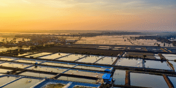 FIAPO detects lead, cadmium in aqua farms of 10 states