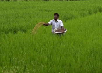 There might be a hike in agricultural credit target to Rs 19 Lakh Crore in Budget 2021
