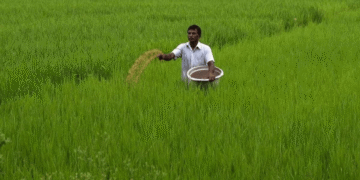 There might be a hike in agricultural credit target to Rs 19 Lakh Crore in Budget 2021