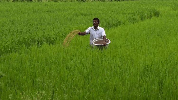 There might be a hike in agricultural credit target to Rs 19 Lakh Crore in Budget 2021