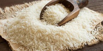 Export of basmati rice marked a rising slope in Belgium and Netherlands