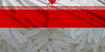 Iran begins clearing dues of Indian basmati rice exporters