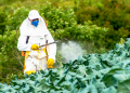 Expert committee scrutiny initiated on proposal to ban 27 pesticides
