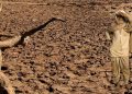 141 farmers committed suicide in the past 10 months in Chhattisgarh