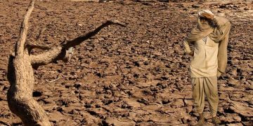 141 farmers committed suicide in the past 10 months in Chhattisgarh