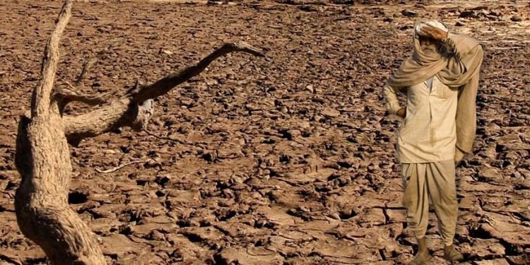 141 farmers committed suicide in the past 10 months in Chhattisgarh