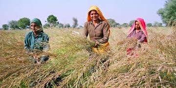 5.82 Lakh Farmers pay Arrears Of Rs 511 Crore in Maharashtra