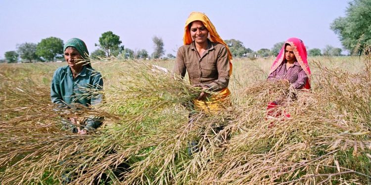 5.82 Lakh Farmers pay Arrears Of Rs 511 Crore in Maharashtra