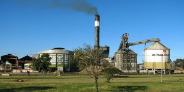 No government financial support under SDF to sugar mills for a year
