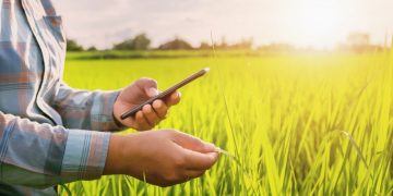 Government to update PM Kisan scheme soon: farmers to stay updated and in waiting