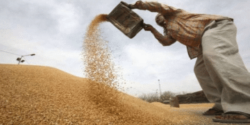 RBI has cleared over Rs 21,000 crore towards CCL for wheat procurement in Punjab