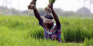 40 lakh families in AP to get subsidized power for agriculture and other divisions