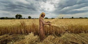 Covid’s  Impact On Agriculture.