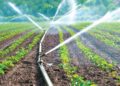 Micro Irrigation System In India