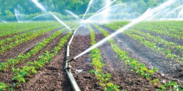 Micro Irrigation System In India