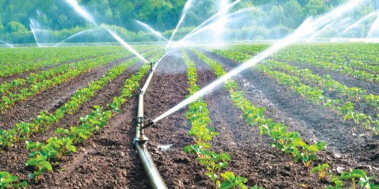 Micro Irrigation System In India