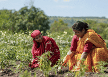 Subsistence Farming ; A threat to Indian Agriculture.