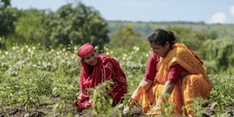 Subsistence Farming ; A threat to Indian Agriculture.