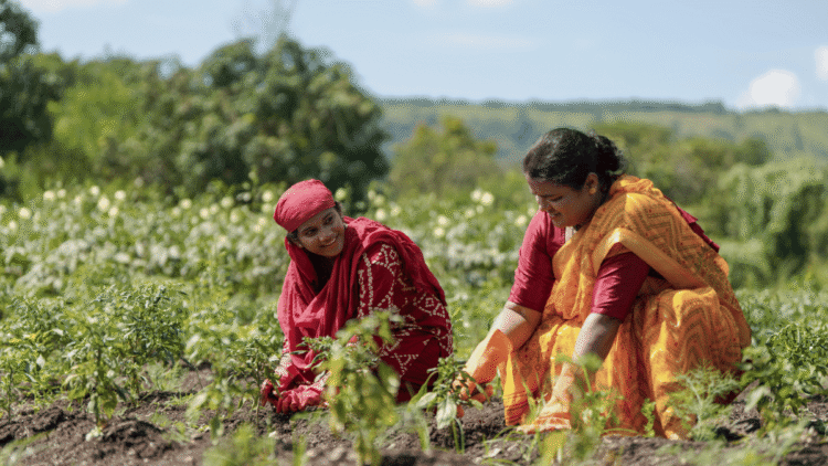 Subsistence Farming ; A threat to Indian Agriculture.