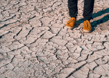 Global Shortage Of Water For Agriculture