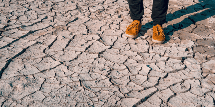 Global Shortage Of Water For Agriculture