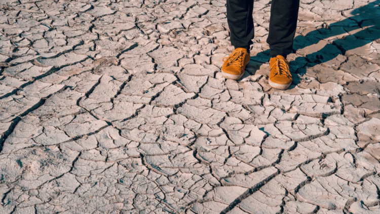 Global Shortage Of Water For Agriculture