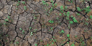 Impact Of Soil Erosion On Agriculture