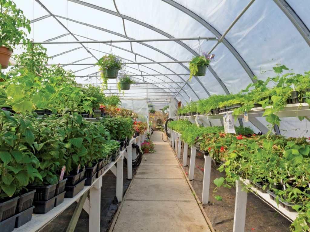 how-horticulture-is-turning-the-tables-in-agriculture-the-agrotech-daily