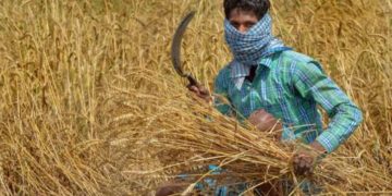 ‘Agristack!’ A Way Forward?