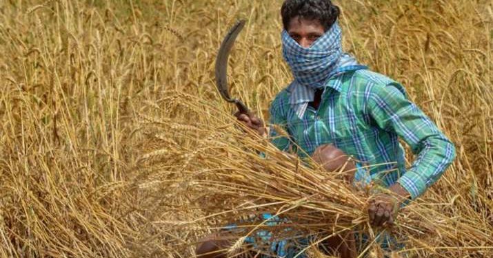 ‘Agristack!’ A Way Forward?