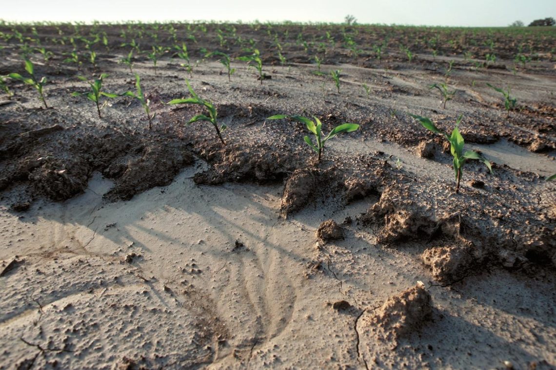 advice-on-reducing-soil-erosion-in-arable-fields-farmers-weekly