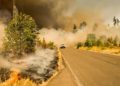 Wildfire smoke may reduce the amount of Rain in Western U.S, says study