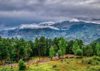 A Thriving Horticulture In Jammu and Kashmir