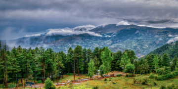 A Thriving Horticulture In Jammu and Kashmir