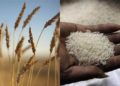 A Declining Trend In The Prices Of Wheat And Rice!