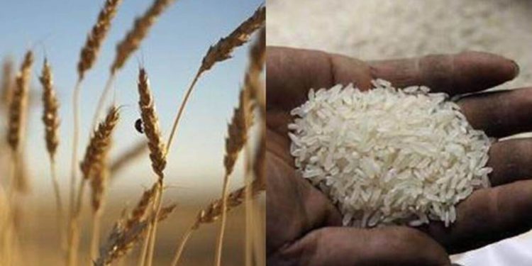 A Declining Trend In The Prices Of Wheat And Rice!