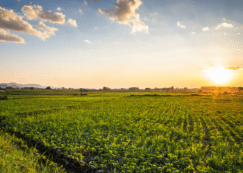 Corporate Farming, misleading picture painted by the Indian government