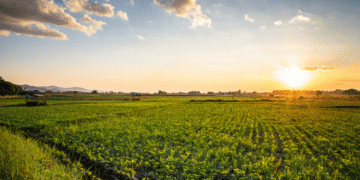 Corporate Farming, misleading picture painted by the Indian government