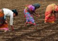 Women Suffers More In The Agro- Setback