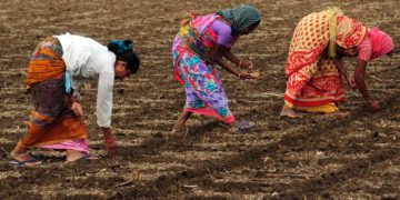 Women Suffers More In The Agro- Setback