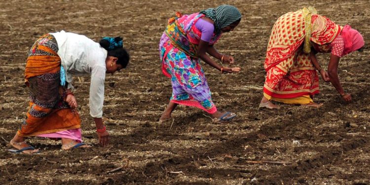 Women Suffers More In The Agro- Setback