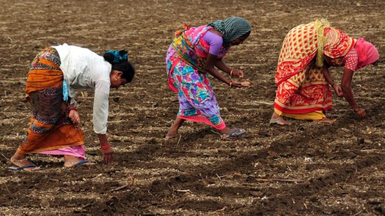 Women Suffers More In The Agro- Setback